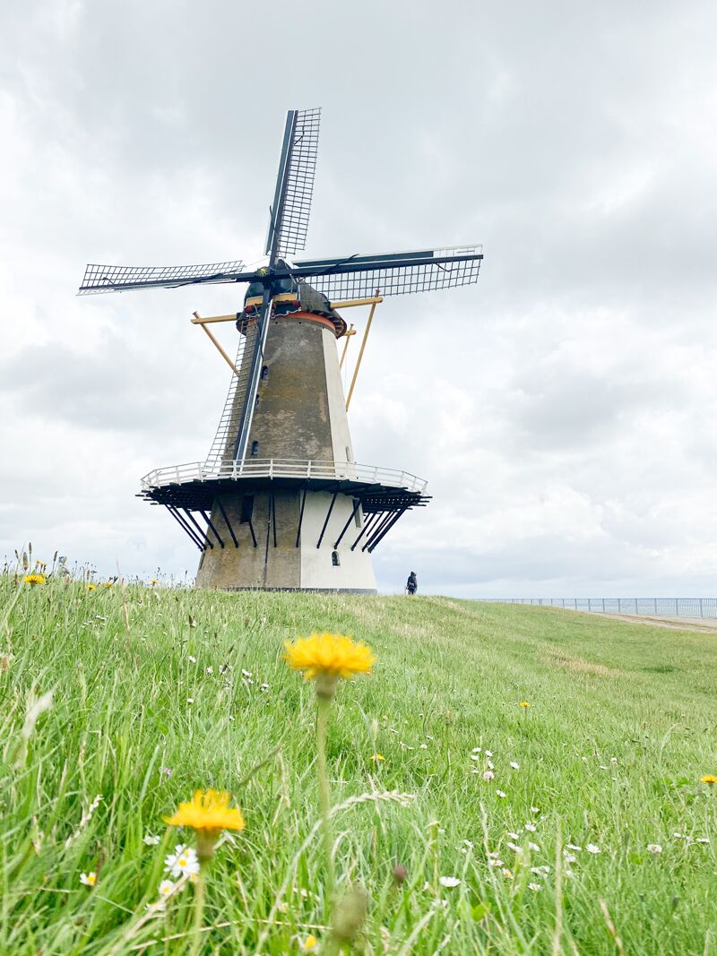 windmill on the seashore in the netherlands 12 01 